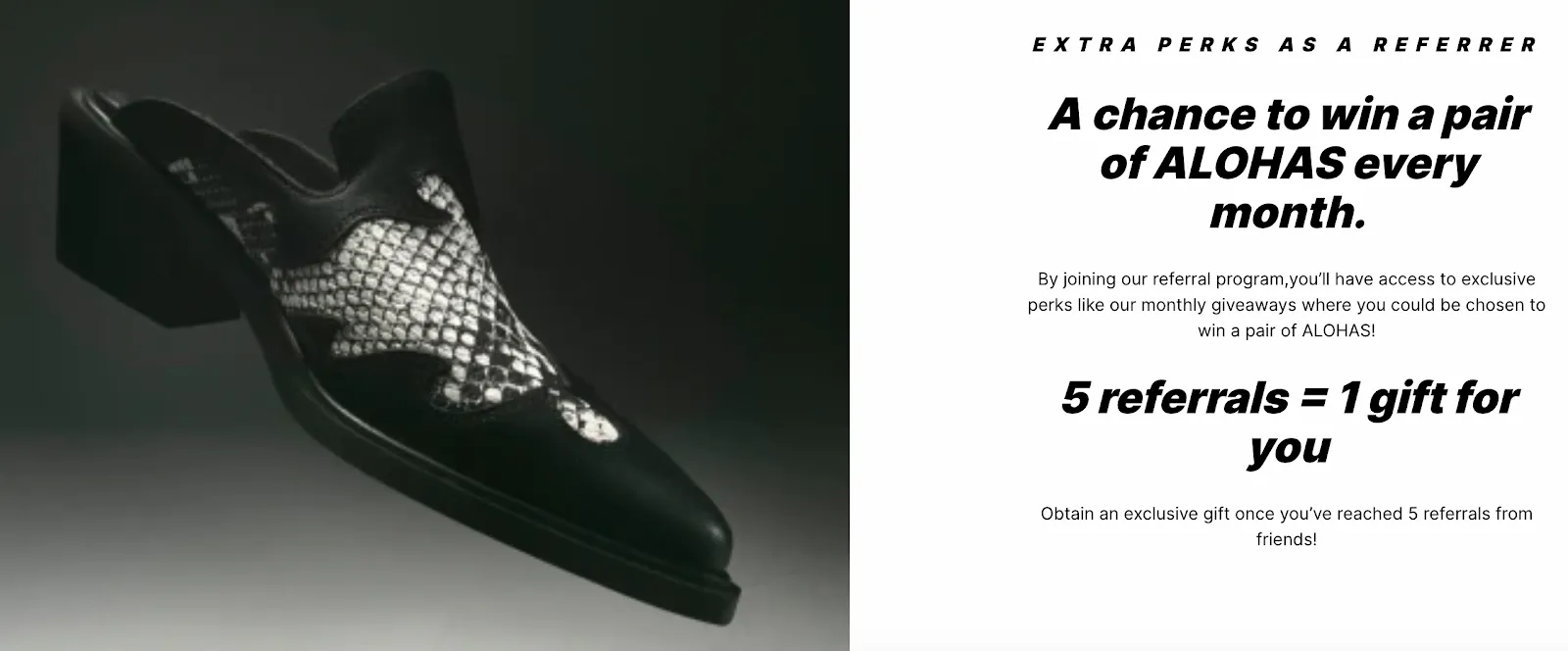 A section showcasing extra perks of a referrer with Alohas